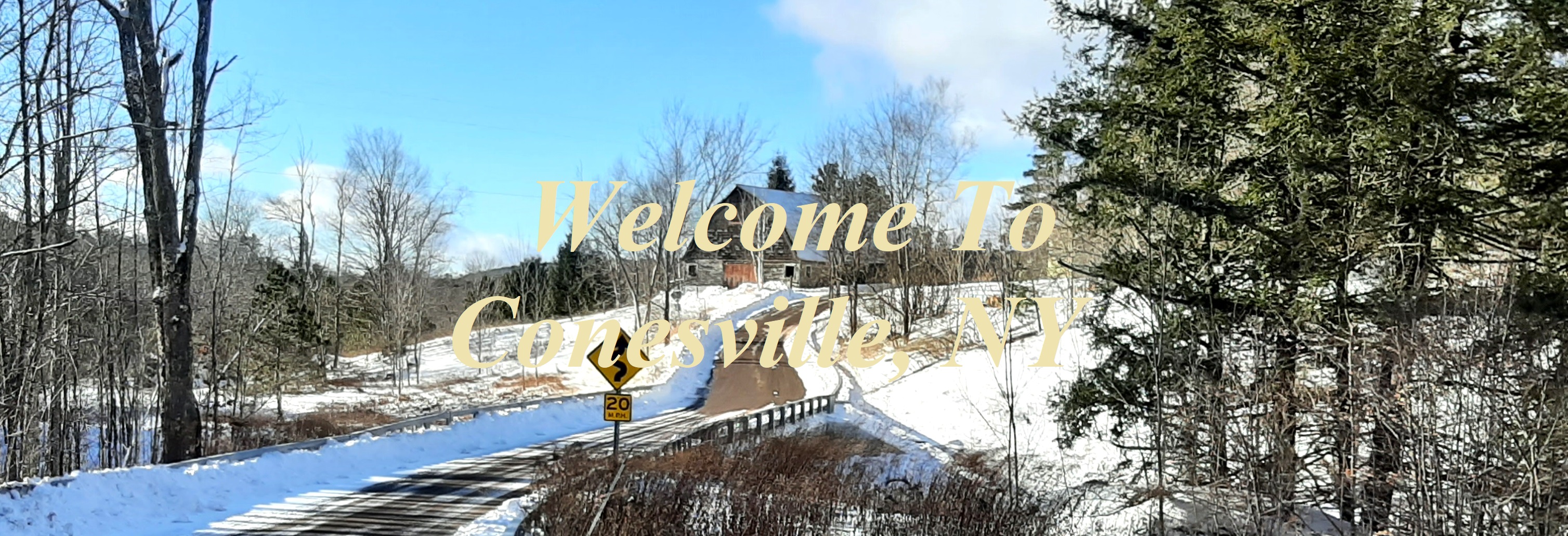 Town of Conesville Schoharie County, New York